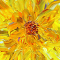 Marigold Inspiration 2 Painting by Teresa Moerer Marigold Inspiration 2 Painting by Teresa Moerer