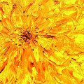 Marigold Inspiration 3 Painting by Teresa Moerer Marigold Inspiration 3 Painting by Teresa Moerer