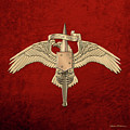 Marine Special Operator Insignia - USMC Raider Dagger Badge over Red Velvet Digital Art by Serge Averbukh Marine Special Operator Insignia - USMC Raider Dagger Badge over Red Velvet Digital Art by Serge Averbukh