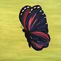 Mariposa - Butterfly by Candelario Cervantez