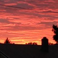Maroon Skies by Anna Adams