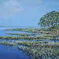Marshland by Sinisa Saratlic Marshland by Sinisa Saratlic