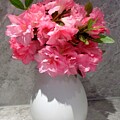 Marty's  PINKS  by Viva Anderson