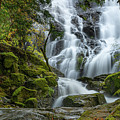 Mary Vine Falls Photograph by Bill Cubitt Mary Vine Falls Photograph by Bill Cubitt