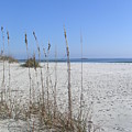 Masonboro Island Coastal Estuarine Reserve Photograph by Heather E Harman Masonboro Island Coastal Estuarine Reserve Photograph by Heather E Harman