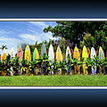 Maui Surfboard Fence by Rob DeCamp Maui Surfboard Fence by Rob DeCamp