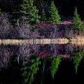 Mauve Echo Photograph by Doug Gibbons Mauve Echo Photograph by Doug Gibbons