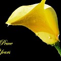 May Peace Be Yours Photograph by Nancy Ayanna Wyatt May Peace Be Yours Photograph by Nancy Ayanna Wyatt