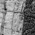 Mayan Wall Carvings - Chichen Itza Photograph by Frank Mari Mayan Wall Carvings - Chichen Itza Photograph by Frank Mari