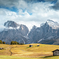 Meadow field and the Dolomiti rocky peaks Alpe di siusi Seiser Alm Italy Photograph by Michalakis Ppalis Meadow field and the Dolomiti rocky peaks Alpe di siusi Seiser Alm Italy Photograph by Michalakis Ppalis