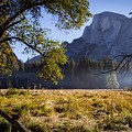 Meadow View Photograph by Stephen Sloan Meadow View Photograph by Stephen Sloan