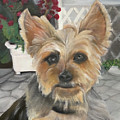 Meet Riley by Sheila Mashaw Meet Riley by Sheila Mashaw