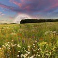 Mega moon rising over flower meadow Photograph by Simon Bratt Mega moon rising over flower meadow Photograph by Simon Bratt
