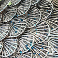 Metal Scales by Sharon Popek