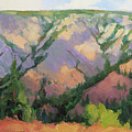 Midday at Chief Joseph Canyon Painting by Steve Henderson