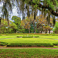 Middleton Plantation Landscape Photograph by Louis Dallara Middleton Plantation Landscape Photograph by Louis Dallara