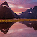 Milford Sound Sunset, New Zealand Photograph by Neale And Judith Clark Milford Sound Sunset, New Zealand Photograph by Neale And Judith Clark
