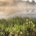 Mist rising - Cawfield Quarry, Hadrians Wall Photograph by Anita Nicholson Mist rising - Cawfield Quarry, Hadrians Wall Photograph by Anita Nicholson