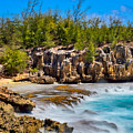 Misty Blue Pool Photograph by Bradley Morris Misty Blue Pool Photograph by Bradley Morris
