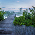 Misty Boardwalk - Beckley Creek Park - Louisville - Kentucky by Gary Whitton