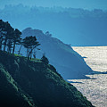 Misty Clifftop Seascape Photograph by Chris Lord Misty Clifftop Seascape Photograph by Chris Lord