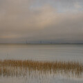 Misty Morning Marsh in Charleston by Good Focused