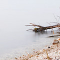 Misty Morning Photograph by Windshield Photography