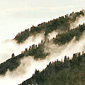 Misty Mountain Landscape  by Shelli Fitzpatrick