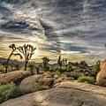 Mojave Sunbow by Marilyn McFarlin