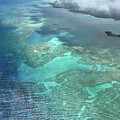 Molokai Island Reef Photograph by Beverly Read Molokai Island Reef Photograph by Beverly Read