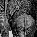 Mom and Me - BW by James Capo