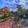 Momentum of Harmony Photograph by ABeautifulSky Photography by Bill Caldwell