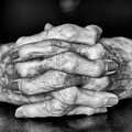 Mom's Hands by Bill Chardon