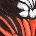 Monarch  by Misty Morehead