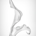 Monochromatic Calla Lily Photograph by Elvira Peretsman Monochromatic Calla Lily Photograph by Elvira Peretsman