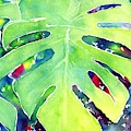 Monstera Tropical Leaves 1 Painting by Carlin Blahnik CarlinArtWatercolor Monstera Tropical Leaves 1 Painting by Carlin Blahnik CarlinArtWatercolor