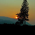 Montana Sunset Photograph by Sarah Lilja Montana Sunset Photograph by Sarah Lilja