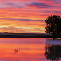 Montana Sunset Photograph by Todd Klassy Montana Sunset Photograph by Todd Klassy