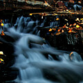 Moody Fall Day At The Creek by Thomas Nay