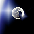 Moon Gaze by Carl Moore