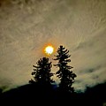 Moon Majesty by Keri LaGrave