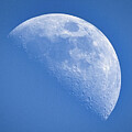 Moon Over Norfolk by Rene Vasquez