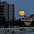 Moon Rise Photograph by Mingming Jiang Moon Rise Photograph by Mingming Jiang