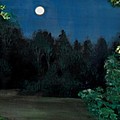 Moon Shadow by Susan Moore Moon Shadow by Susan Moore