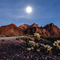 Moonrise at KOFA by Margaret Pitcher