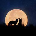 Moonrise Digital Art by Nicole Wilde Moonrise Digital Art by Nicole Wilde
