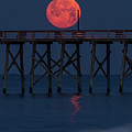 Moonset Photograph by Nick Noble Moonset Photograph by Nick Noble