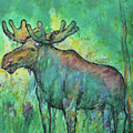 Moose in the woods by Vibeke Moldberg Moose in the woods by Vibeke Moldberg