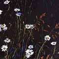 More Daisies by Deahn Benware