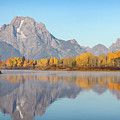 Morning at Oxbow Bend Photograph by Robert Carter Morning at Oxbow Bend Photograph by Robert Carter
